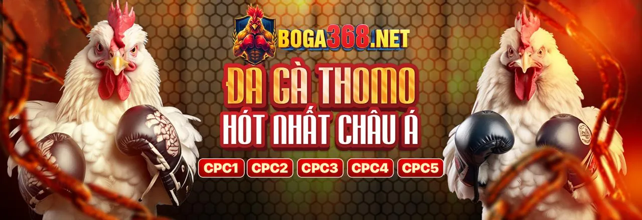 Chương trình VIP bat88
