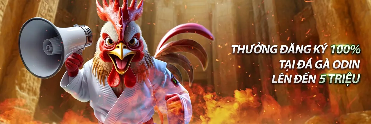 Hình ảnh minh họa GDPR và bảo mật dữ liệu tại bat88